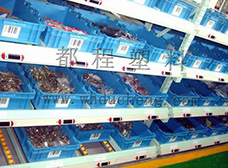 塑料周轉(zhuǎn)箱應(yīng)用